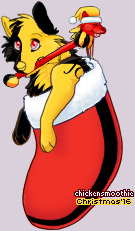 Pet