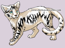 Pet