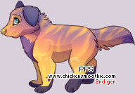 Pet