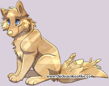 Pet