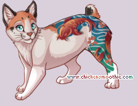 Pet