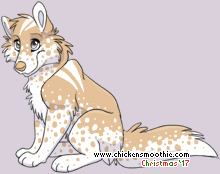 Pet