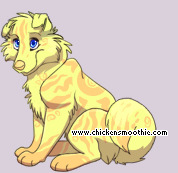 Pet