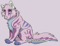 Pet