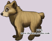 Pet