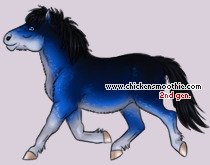 Pet