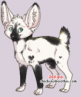 Pet
