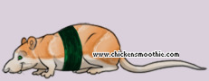 Pet
