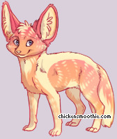 Pet