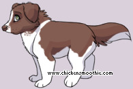 Pet