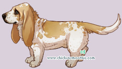 Pet
