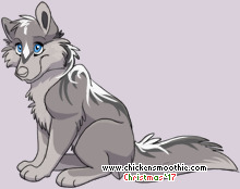 Pet