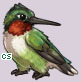 Pet