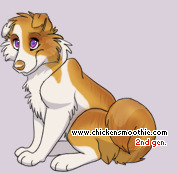 Pet