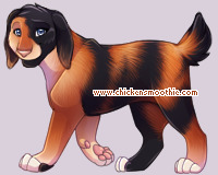 Pet