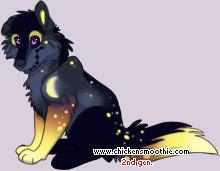 Pet