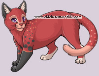 Pet