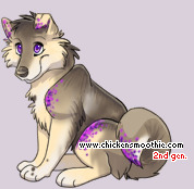Pet