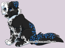 Pet