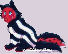 Pet