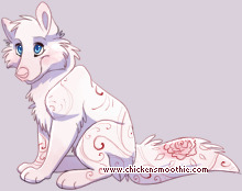 Pet