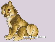 Pet