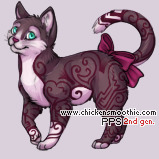 Pet
