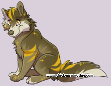 Pet