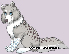 Pet