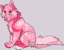 Pet