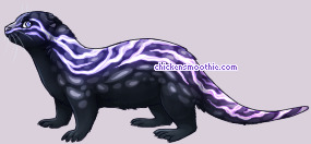 Pet