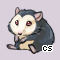 Pet
