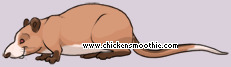 Pet