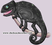 Pet