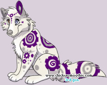Pet