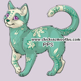 Pet