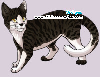 Pet