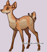 Pet