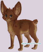 Pet