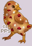 Pet