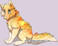 Pet