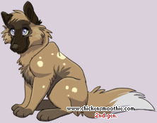 Pet