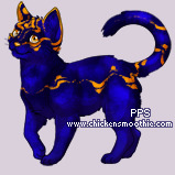 Pet
