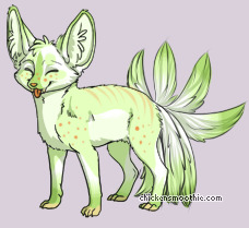 Pet