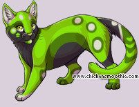Pet