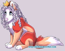 Pet