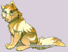 Pet