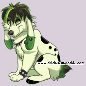 Pet