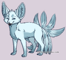 Pet