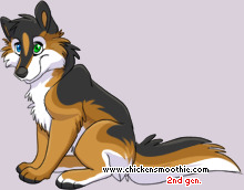 Pet